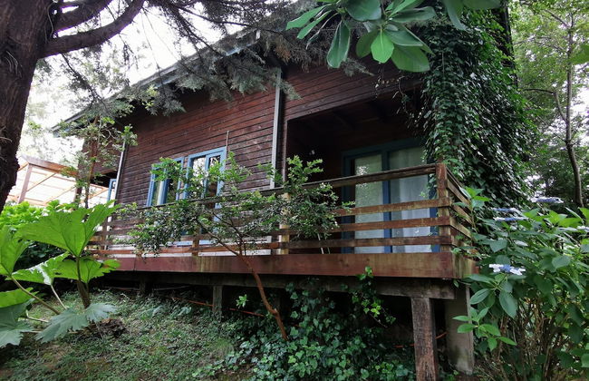 Cabaña Pudomo en Coñaripe con Hot-tub Exclusivo - Foto 1