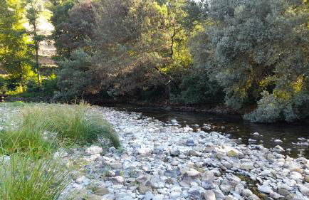 Casa D'Avó Tiz - Foto 6