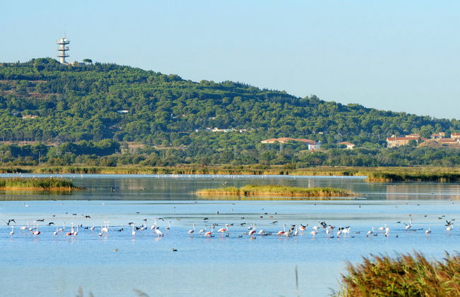 Résidence Odalys Collection Nakâra - Foto 19