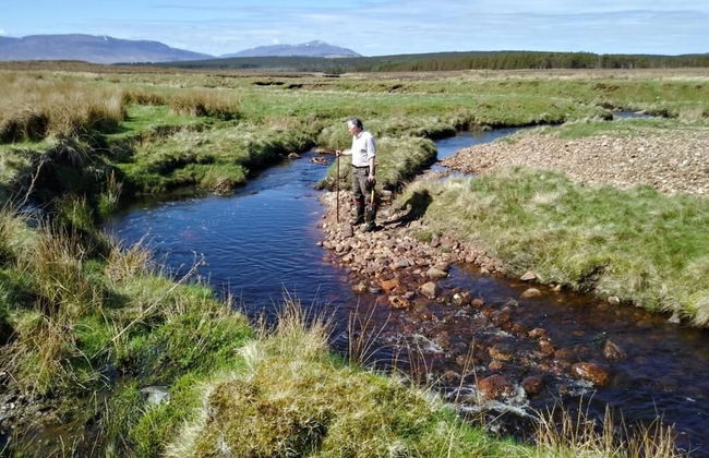 Garvault House - Photo 40