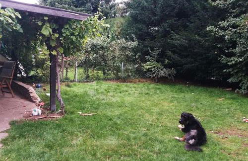 2-Zimmer DG-Apartment mit eigener Sauna - Foto 17