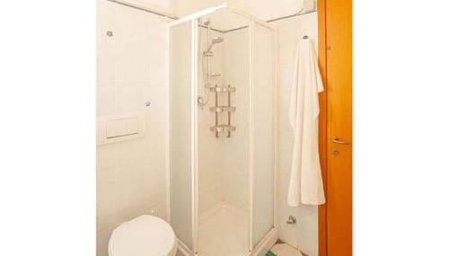 Giglio Viola - Foto 5