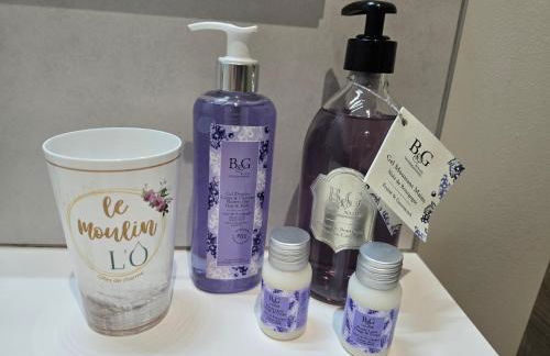 Le Moulin de l'O-L'Orle Nature formule 4 personnes - Foto 19