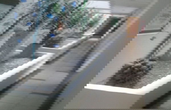 Departamento Reñaca Park - Photo 25