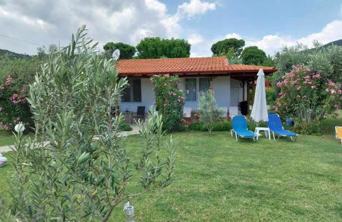 Bill & Eva's precious jewel - Photo 35