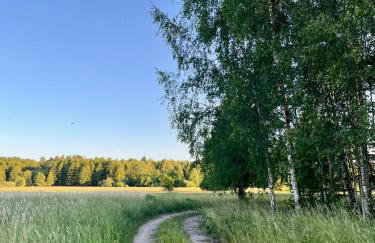 Pod Modrzewiem - Foto 38