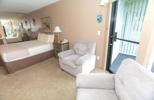 The Grey Gull - Foto 132