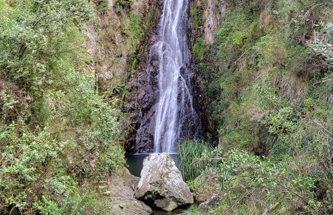 La Piedra Letrada Petroglyphs Day Trip - Photo 7