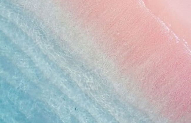 Samara II Liveaboard - Foto 42