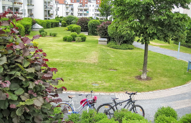 Kamelienweg - Foto 13