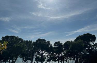 Augustin. welcome home - Foto 22