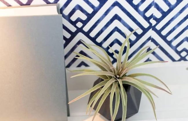 Stunning Split Level 3 BR Little Italy Apartment - Foto 19