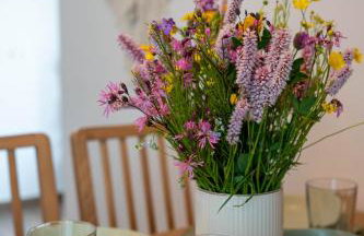 Family HOUSE - Foto 17