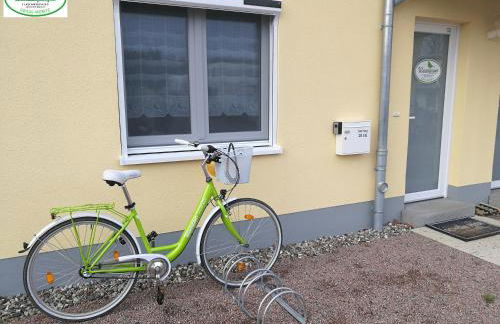 Ostsee-Wiesenpieper (Graal-Müritz) - Foto 40