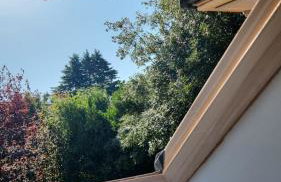 Cosy Suite with Private Access in London Putney - Foto 42