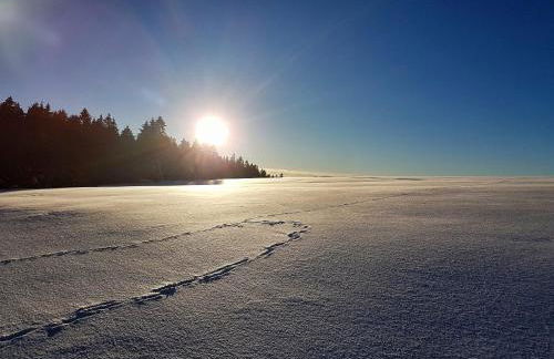 Ferienhaus Thale - Foto 54