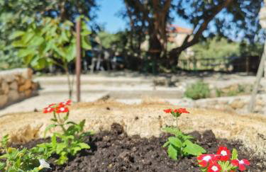 Studio Apartment Mileta - Photo 32