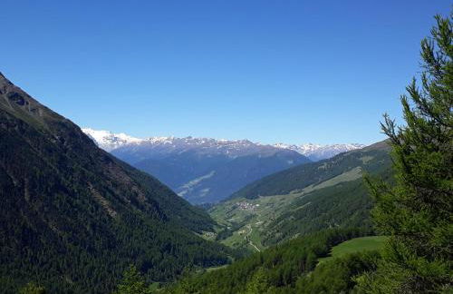 Beim Gruber - Foto 26