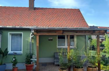 Töpferblick - Foto 7