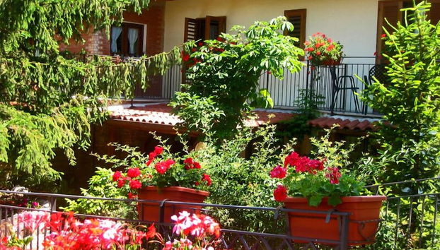 Agriturismo La Casa del Ghiro - Foto 2, Entrada (vista interior)