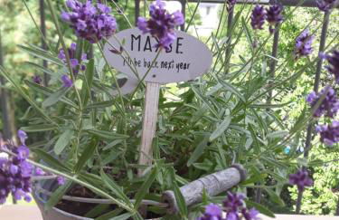 Ferienwohnung Haus Giesner - Foto 6