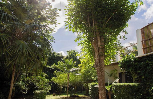 Mini Pini Birdwatching and Cenote Loft4 you Only - Photo 48