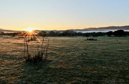 Casa Ypsilon Olive Oil - Photo 18