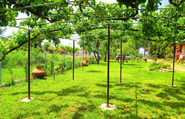 Pandora Studios - Foto 26