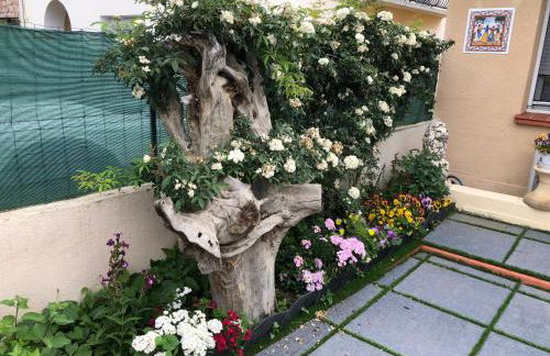 Pavillon Clara Flor - Foto 21