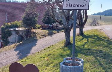 Dischhof - Foto 17