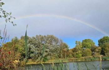 Wigeon Secluded Rustic cabin - Foto 26