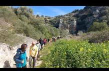 L' Archè Monolocale - Foto 15