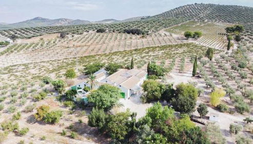 Cortijo Don Simón - Foto 4