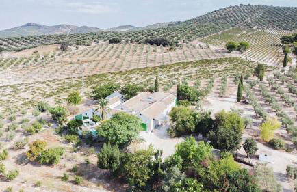 Cortijo Don Simón - Foto 4