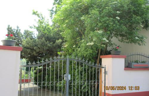 Casa Schönblick & E-Ladestation-Bike Garage - Photo 32