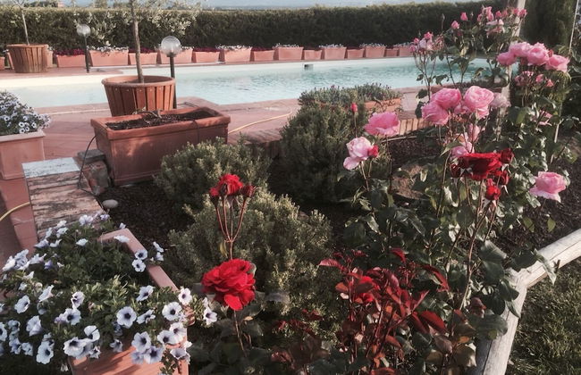 Agriturismo Le Rondinelle - Photo 60