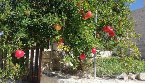 Drys Stone House - Foto 2, Garden view