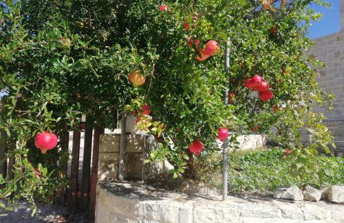 Drys Stone House - Foto 2