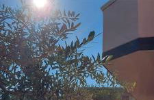 Appartamento L'Ulivo - Foto 1