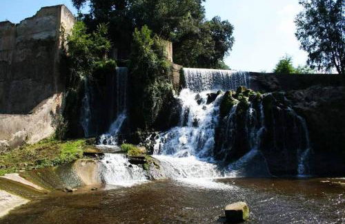 Masía De La Garrotxa - Foto 39
