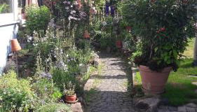 Zimmer Frei - Foto 5, Garden