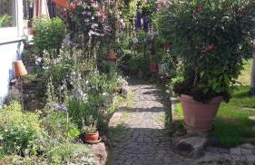 Zimmer Frei - Foto 5