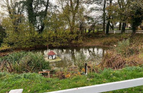 Seatons Hidden Gem Charming Holiday Cottage - Foto 8