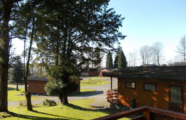 Birch Lodge 23 With Hot Tub, Newton Stewart - Photo 1