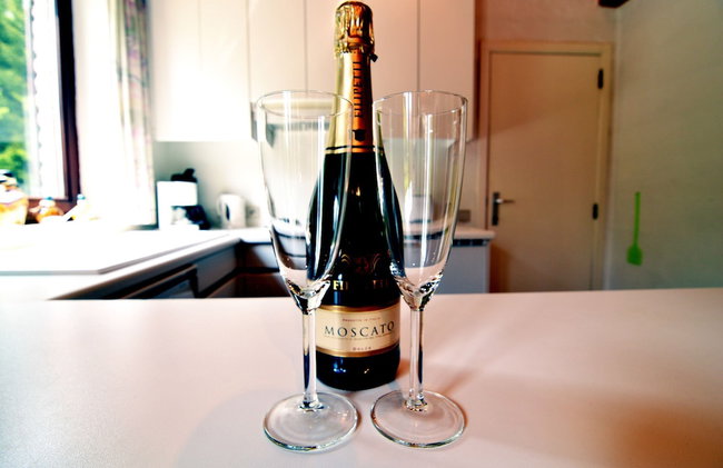 Pet Escape in Ardennes - Photo 31