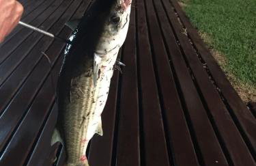 SCR-Angra do Reis-Linda Casa 5QTS 4 Suítes - Foto 48