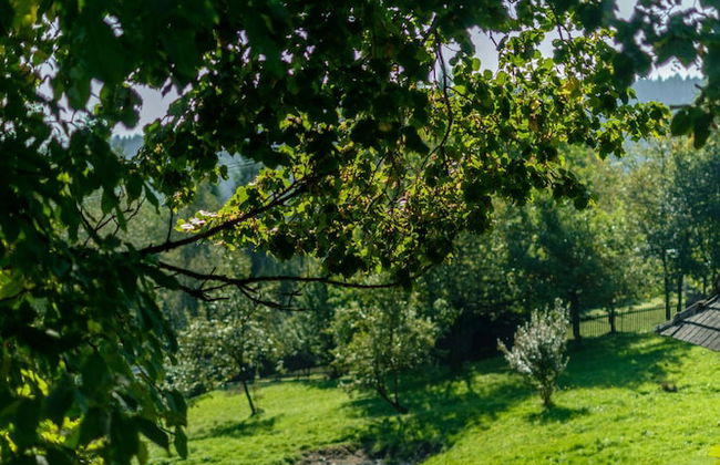 Domek w Beskidach - Foto 26