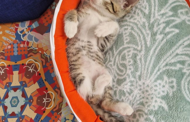 Sunset Villa with Infinity Pool - Foto 29