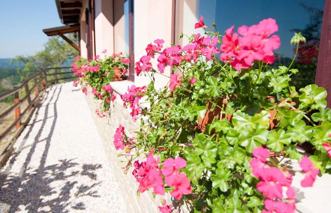 Cozy Farmhouse in Apecchio with Hot Tub - Foto 29