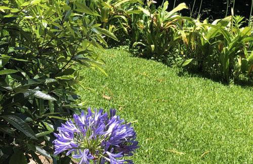 Villa-sleeps2-garden-private Park - Foto 25